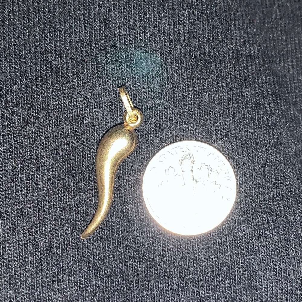 Italian Horn Charm 14K Yellow Gold